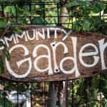 Community Garden - brown wooden welcome signage on green plants