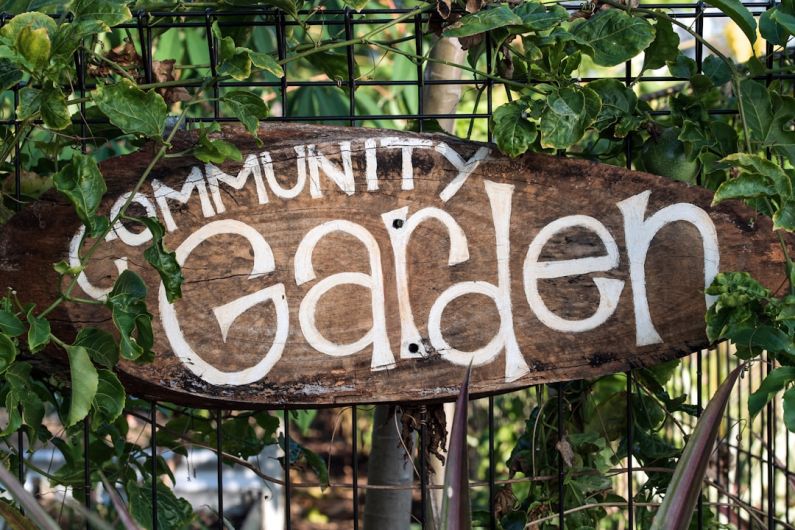 Community Garden - brown wooden welcome signage on green plants