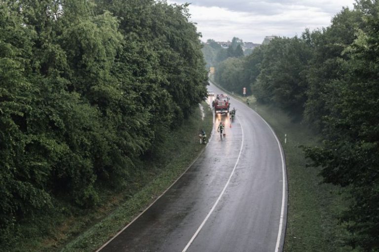 Highway Cleanup - people walking on road during daytime