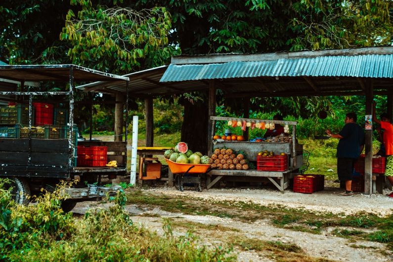 Fruit Stand - fruits on brown wooden table under blue canopy tent during daytime